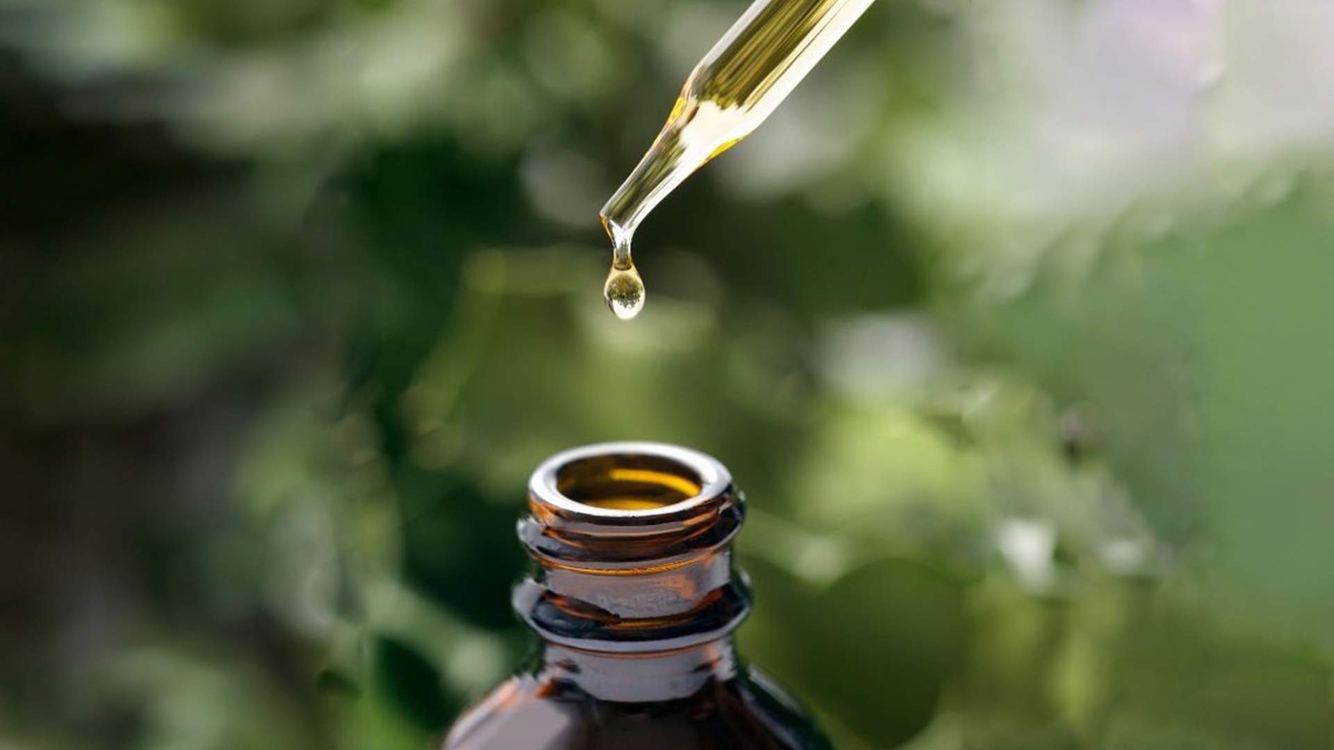 CBD oil. Cannabidiol as a THC modulator.